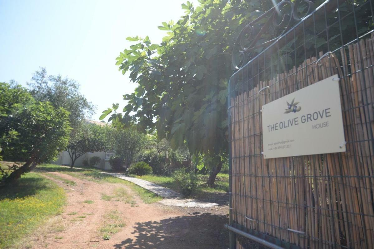 The Olive Grove House Villa Kassiopi Exteriör bild